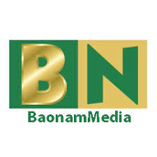 bnmedia